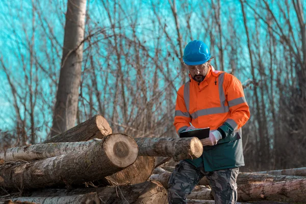 Forsttechniker Schreibt Notizen Zum Holzeinschlag Auf Klemmbrett Notizblock Wald Den — Stockfoto