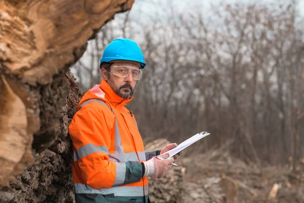 Forestry technician writing notes on clipboard notepad paper in forest during logging deforestation process