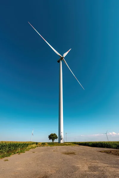 Grande Com Turbina Pequena Árvore Campo Energia Renovável Recursos Sustentáveis — Fotografia de Stock