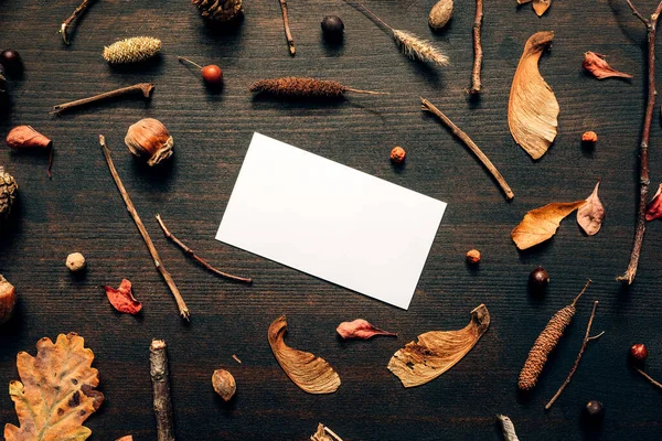 Leere Visitenkarten Attrappe Mit Herbstdekoration Flache Lageansicht Kopieren Raum Grafikdesign — Stockfoto