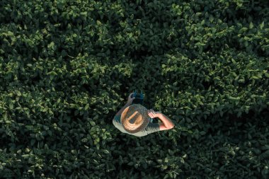 Tarlada uzaktan kumandalı soya fasulyesi çiftçisinin havadan görünüşü, tarımda yenilikçi modern teknolojiyi kullanan ziraatçilerin tepeden aşağı bakışı.