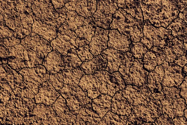 Textur Der Trockenen Rissigen Landoberfläche Heißen Sommertagen Draufsicht — Stockfoto