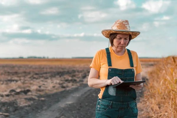 トウモロコシ畑でデジタルタブレットを使用して女性トウモロコシ農家 わら帽子とジーンズビブ全体を身に着けている女性農家労働者とスマート農業の概念 — ストック写真