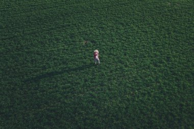 Buğday çiftçisi ayakta duruyor ve buğday çimleri üzerinde bakıyor. Yetişkin erkek çiftçi tarlaları inceliyor.