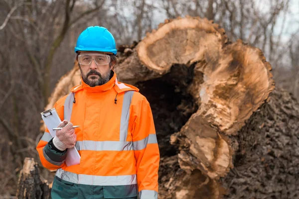 Técnico Florestal Posando Com Bloco Notas Área Transferência Lado Log — Fotografia de Stock
