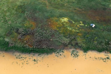 Dron pov 'dan taşrayı ve nehri su basmış. Sırbistan 'ın Voyvodina ilindeki Tamis Nehri.