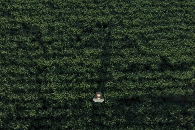 Tarlada uzaktan kumandalı soya fasulyesi çiftçisinin havadan görünüşü, tarımda yenilikçi modern teknolojiyi kullanan ziraatçilerin tepeden aşağı bakışı.