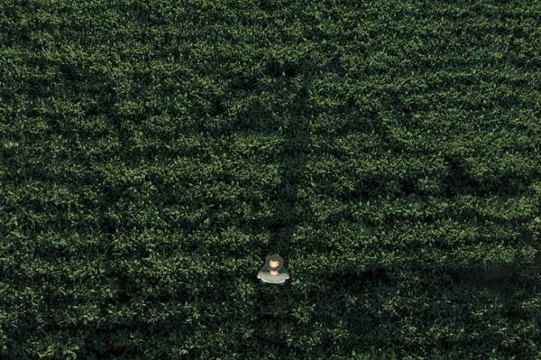 Εναέρια Άποψη Του Γεωργού Σόγιας Τηλεχειριστήριο Drone Στο Πεδίο Από — Φωτογραφία Αρχείου
