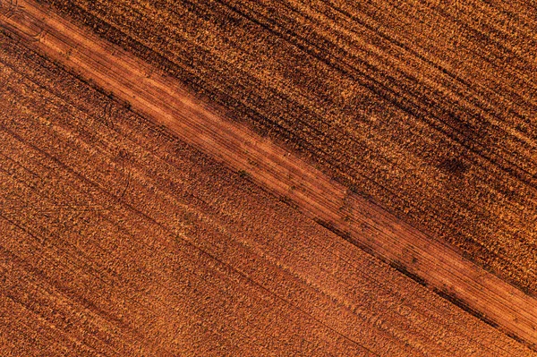 Luftaufnahme Der Abgeernteten Feldstoppeln Draufsicht Abstrakter Natürlicher Hintergrund — Stockfoto