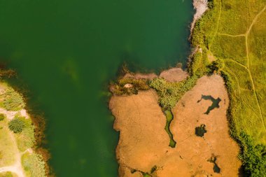 Drone Pov 'dan göldeki su çimlerinin havadan görünüşü