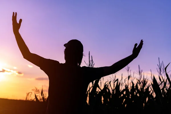 Silueta Granjero Maíz Feliz Éxito Campo Maíz Puesta Del Sol —  Fotos de Stock