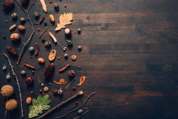 Fondo Plano Temporada Otoño Con Hojas Ramas Nueces Sobre Una —  Fotos de Stock