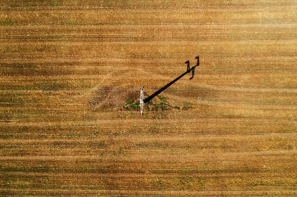 Вид Воздуха Электрический Столб Собранном Пшеничном Поле Отбрасывающий Длинную Тень — стоковое фото