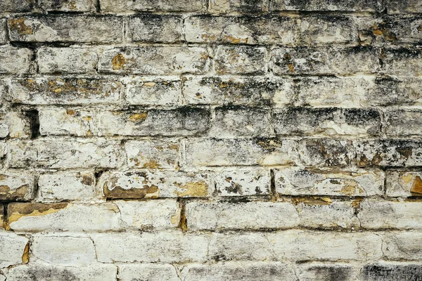 Fundo Textura Superfície Parede Tijolo Branco Rústico — Fotografia de Stock