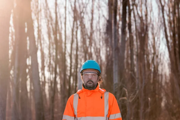 Técnico Forestal Árboles Álamo Planificación Forestal Deforestación Retrato Vivero Profesional — Foto de Stock