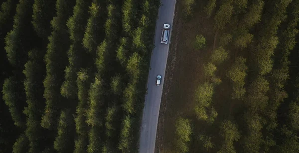 夕暮れ時の松林を通る道路上の車やタンクトラック ドローンのPovからの空中ビュー — ストック写真