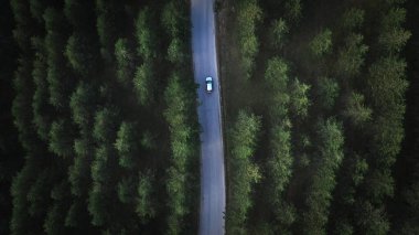 Drone Pov 'dan Çam Ormanı' na giden arabanın hava görüntüsü.