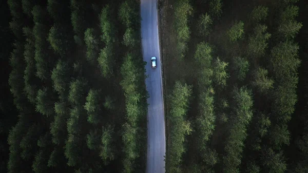 Aerial view of car on the road through pine wood forest from drone pov
