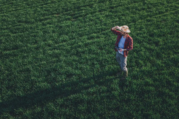 コムギ畑でドローンリモコンを使うコムギ農家 ドローン ポフから耕作農地を観察する男農作業員の空中風景 — ストック写真