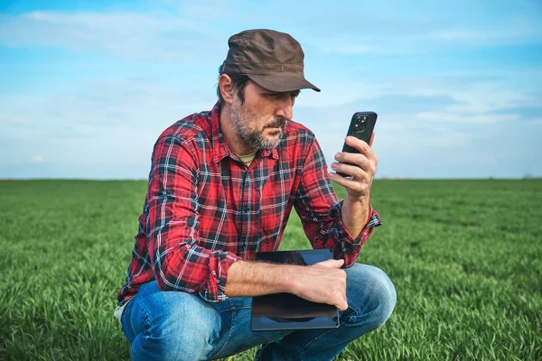 Slimme Landbouw Landarbeider Met Smartphone Digitale Tafel Tarweveld Selectieve Focus — Stockfoto