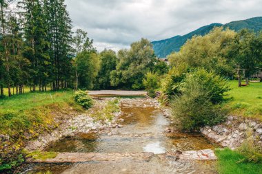 Slovenya 'nın Bohinj vadisinde akan sakin Ribnica nehri, verimli yeşillik ve sakin alp manzarasıyla çevrili bulutlu bir yaz günü. Seçici odak.