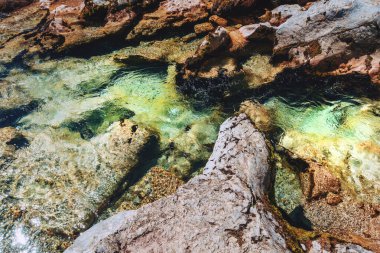 Slovenya 'nın Triglav Ulusal Parkı' ndaki Mostnica vadisinde akan su ve yosunlu kayaların olduğu manzaralı dağ deresi. Seçici odak.
