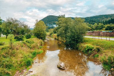 Slovenya 'nın Bohinj vadisinde yer alan Ribnica nehri, bulutlu bir yaz günü, doğa turizmi ve açık hava tatilleri için ideal bir tatil beldesi. Seçici odak.
