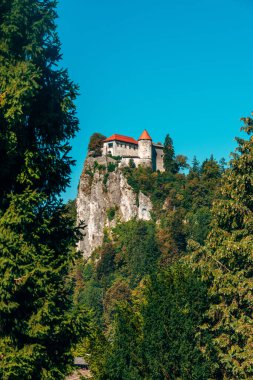 Slovenya 'nın en eski şatosu olan tarihi Kanlı Kale, 1004 yılında Bled Gölü üzerindeki kayalık bir uçurumda ortaçağ mimarisi ve kültür mirası sergiliyor. Seçici odak.