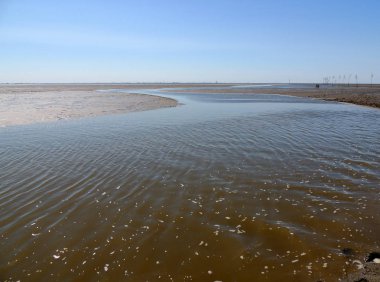 Coast kuzey deniz gelgit, watt