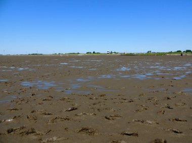 Coast kuzey deniz gelgit, watt