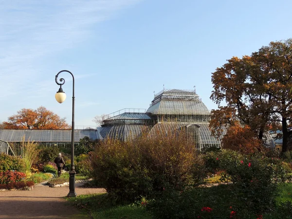 Herfst Botanische Tuin Van Petersburg — Stockfoto