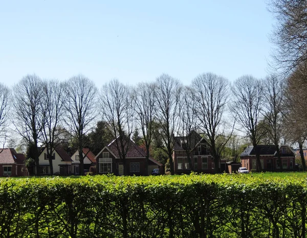 Spring Dutch Countryside Netherlands — Stock Photo, Image