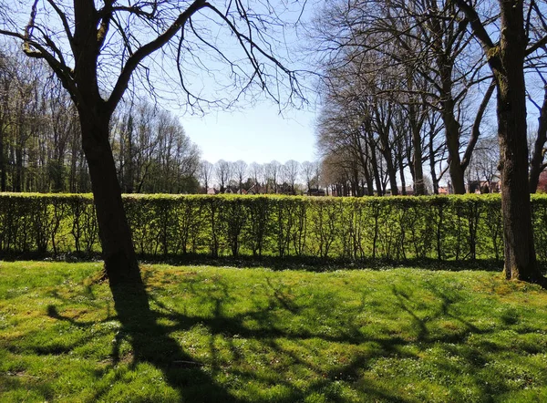 Regelmæssig Park Omkring Middelalderslottet Menkemaborg Holland - Stock-foto