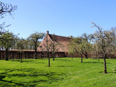 Erken bahar elma bahçesi