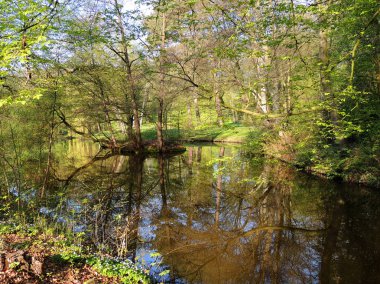 Bahar Park'ta sabahın erken saatlerinde adacık
