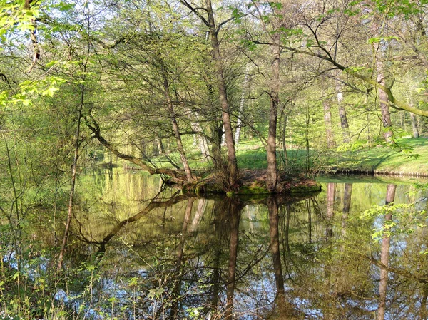 Inselchen Frühlingspark Frühen Morgen — Stockfoto