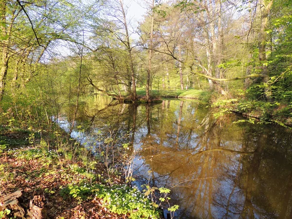 Islet Spring Park Early Morning — Stock Photo, Image