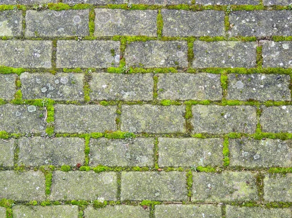 Sidewalk Paved Clinker Bricks — Stock Photo, Image