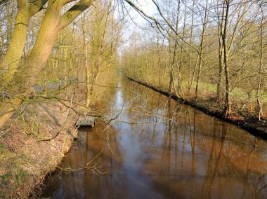 Erken ilkbaharda parkta Kanal