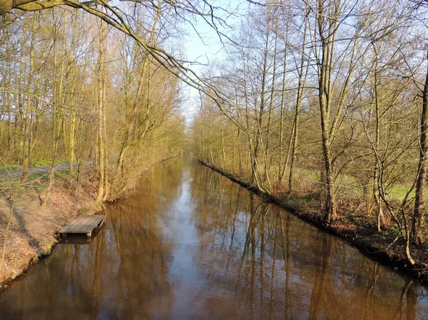 春の初春の公園内の運河 — ストック写真