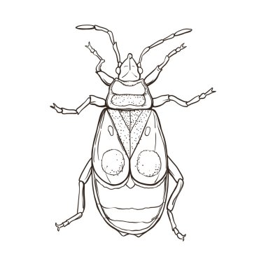 El Beyaz arka plan üzerinde izole kırmızı asker hata çekilmiş. Vektör çizim