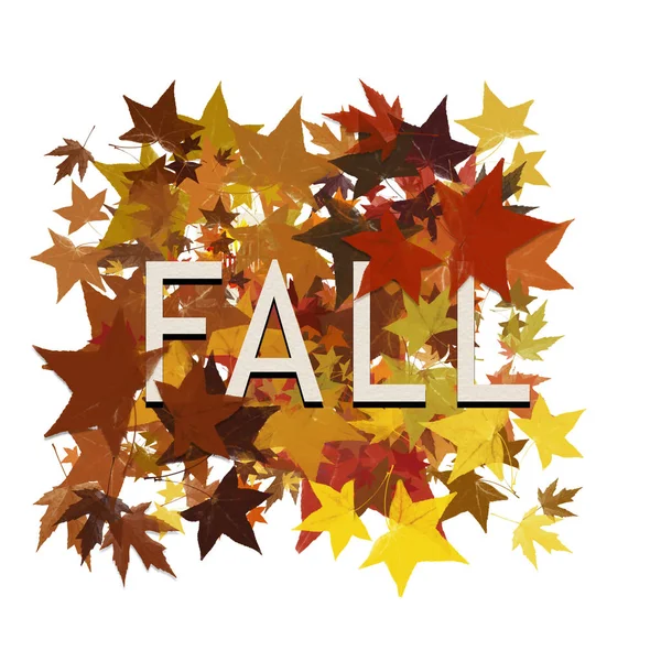 Hojas de otoño con la palabra caída aislada en blanco — Foto de Stock