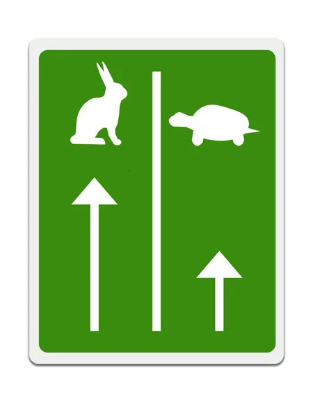 Fast and slow lanes for tortroise aka turtle and hare, Business success concept. White background. — Stock Photo, Image