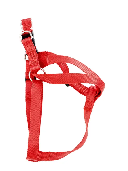 Generic Unbranded Red Dog Harness Isolated White Background — Stock Photo, Image