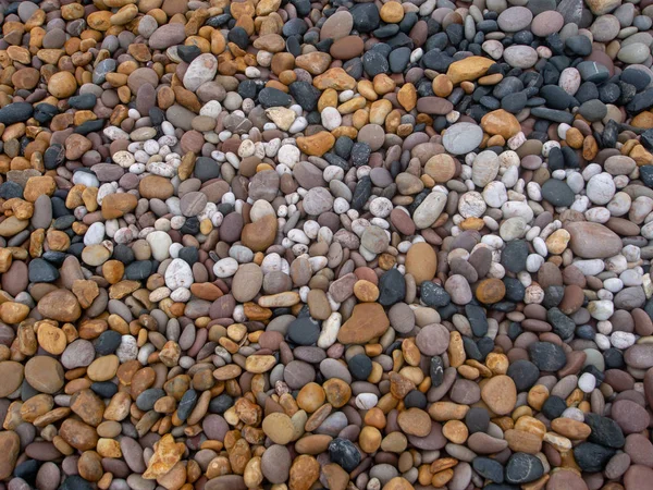 Seixos de mar na praia, várias cores e tipos de pedra. Pedras multicoloridas - preto, branco, amarelo . — Fotografia de Stock