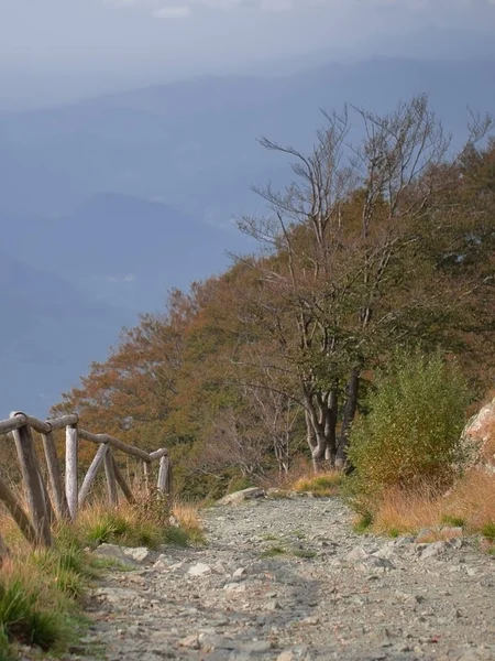 Path to distant hills, journey or travel concept, vertical. — Stock Photo, Image