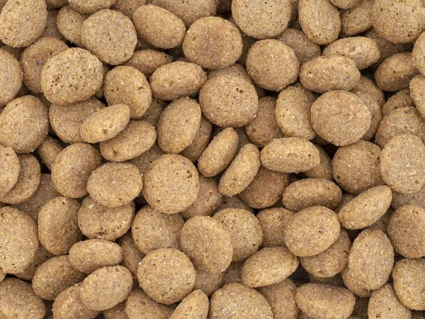 Dried dog food biscuits background — Stock Photo, Image