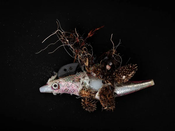 Señuelo de pesca de plástico lavado en la playa, la contaminación del medio ambiente, sino también el peligro - con ganchos feroces. Fondo negro . — Foto de Stock