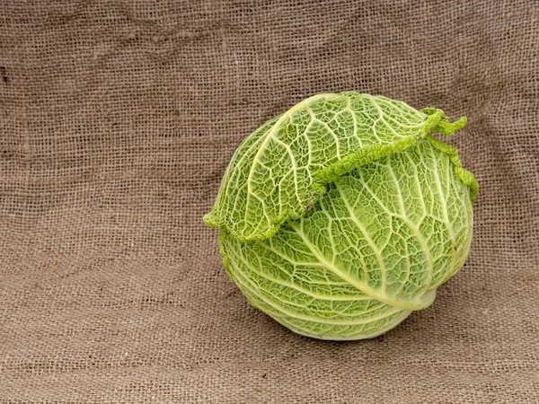 Kapusta Hlávková typ na zkřížili aka pytlovina, vyhození zelená zelenina. — Stock fotografie