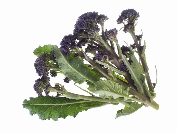 Early purple sprouting broccoli spring vegetable, isolated on white. Overhead view. — Stock Photo, Image